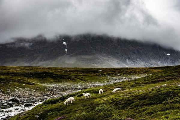 Les yachts à moteur en 2025 : votre guide complet des options