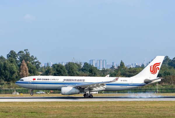 Se rendre à porquerolles : options de transport à découvrir