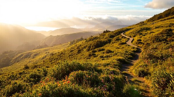 Découvrez les trésors cachés de la nouvelle-zélande pour un séjour exceptionnel